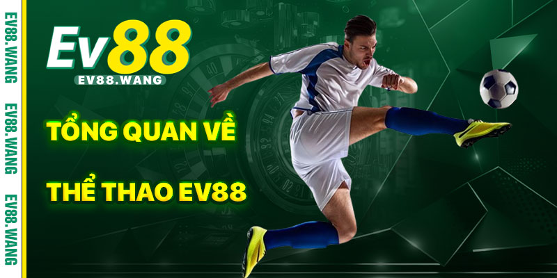 Tổng Quan Về Thể Thao EV88